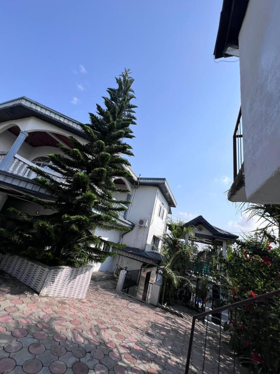 Apex Guest Facility Apartment Buea Exterior photo